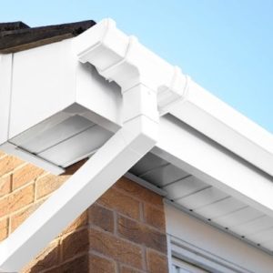White Fascia